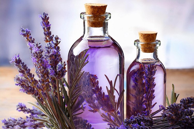 Lavender blossoms and sprigs frame two bottles filled with purple liquid, placed on a light-colored wooden table.